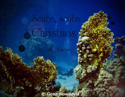 Scuba, Merry Christmas to all divers:)
 by Gosia Nowodyla 